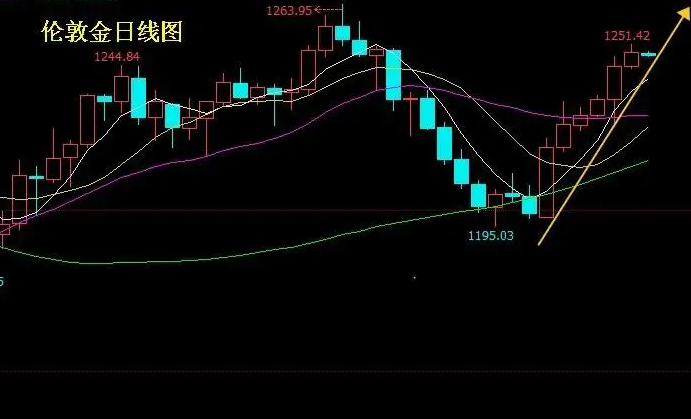 上海黄金期货直播视频下载：全新实时行情分析报告